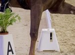 Eindstand selectie paarden dressuur voor de indoor regiokampioenschappen van 10-12 februari 2023